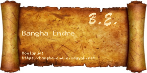 Bangha Endre névjegykártya
